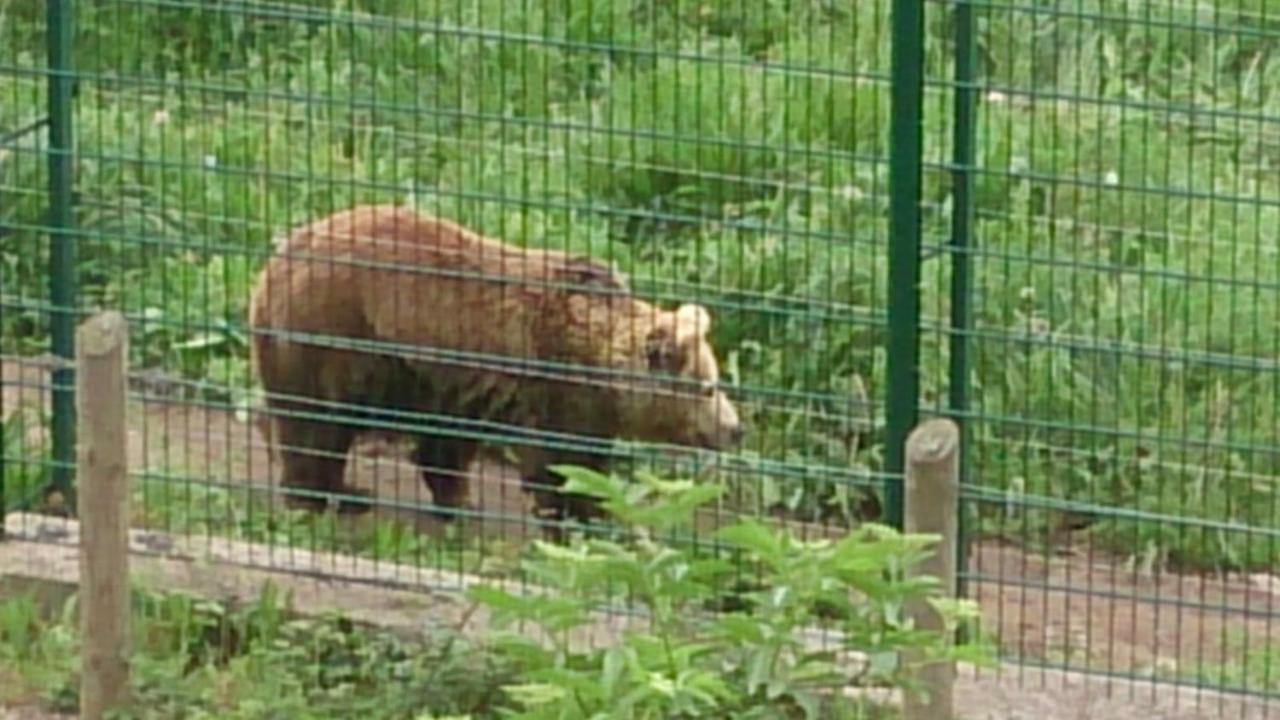 La Casona De Don Santos Ξενοδοχείο Proaza Εξωτερικό φωτογραφία